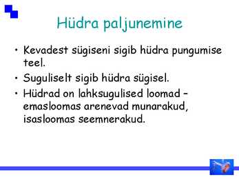 Ainuõõssed #6