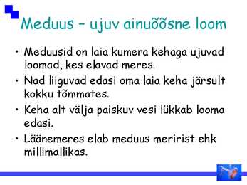 Ainuõõssed #8