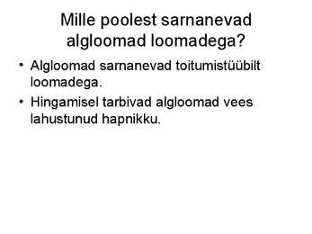 Algloomad #3