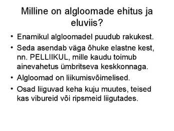 Algloomad #4