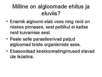Algloomad #5
