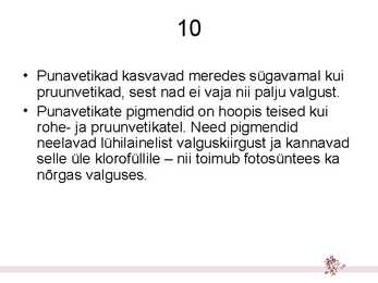 Hulkraksed vetikad – niitvetikad #11