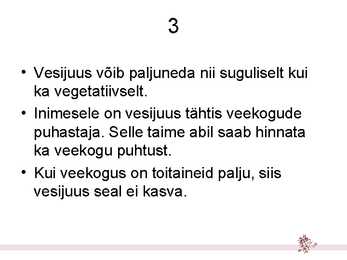 Hulkraksed vetikad – niitvetikad #4