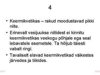 Hulkraksed vetikad – niitvetikad #5