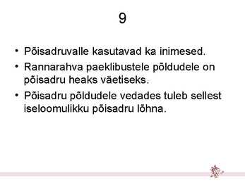 Hulkraksed vetikad – niitvetikad #10