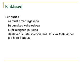 Kiletiivalised #16