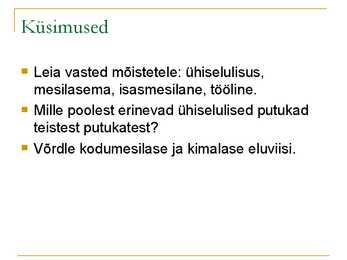 Kiletiivalised #24
