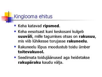 Kingloom #3