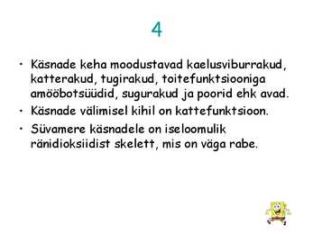 Käsnad #5