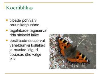Liblikalised #15