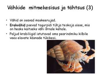 Lülijalgsed #14