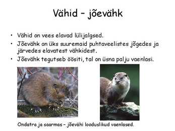 Lülijalgsed #3