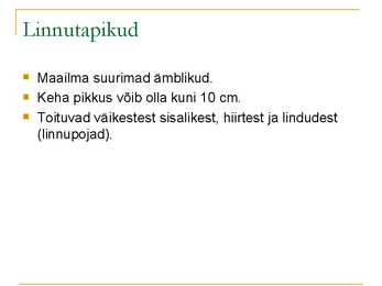 Ämblikud #10