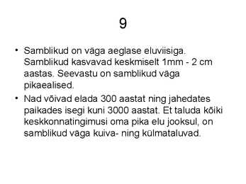 Samblik #10