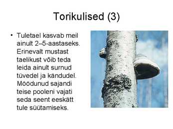 Seente kooselu teiste organismidega #11