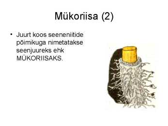 Seente kooselu teiste organismidega #3