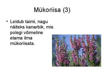 Seente kooselu teiste organismidega #4