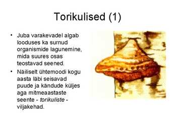 Seente kooselu teiste organismidega #9
