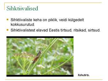 Sihktiivalised #2