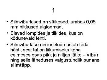 Silmviburlane #2
