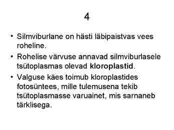 Silmviburlane #5