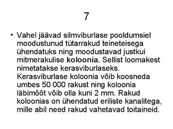 Silmviburlane #8