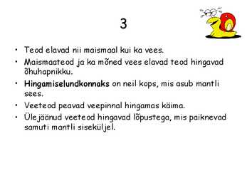 Teod #4