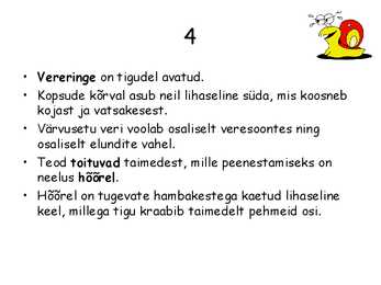 Teod #5