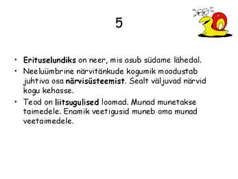 Teod #6