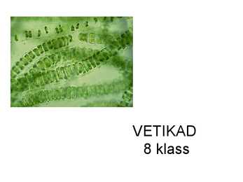 VETIKAD