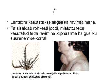 Vetikate tähtsus #8