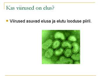 VIIRUSED #4