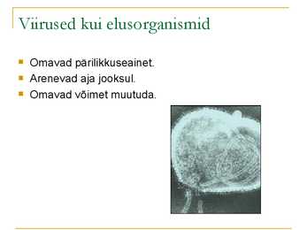 VIIRUSED #5
