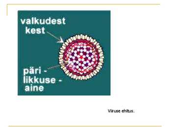 VIIRUSED #8