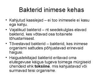Bakterid #13