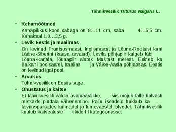 Kahepaiksed roomajad #13