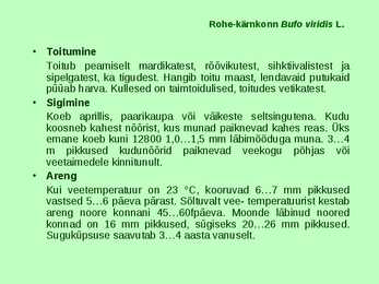 Kahepaiksed roomajad #21
