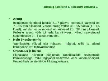Kahepaiksed roomajad #26