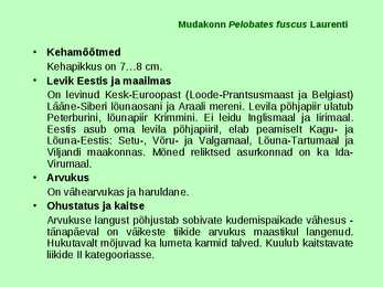 Kahepaiksed roomajad #28