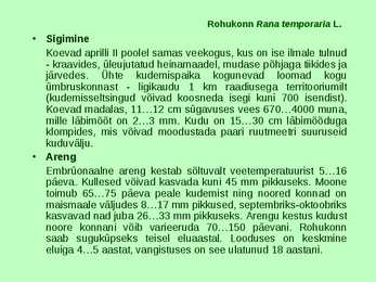 Kahepaiksed roomajad #34