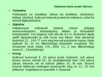 Kahepaiksed roomajad #38