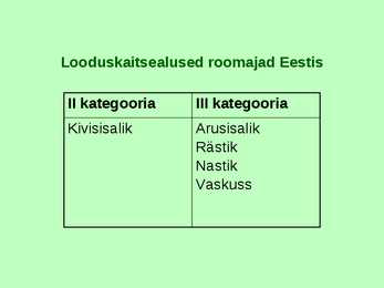Kahepaiksed roomajad #58