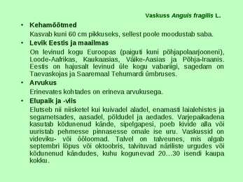 Kahepaiksed roomajad #67