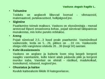 Kahepaiksed roomajad #68