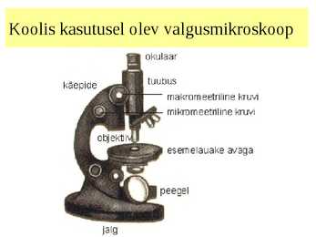 Rakud #12
