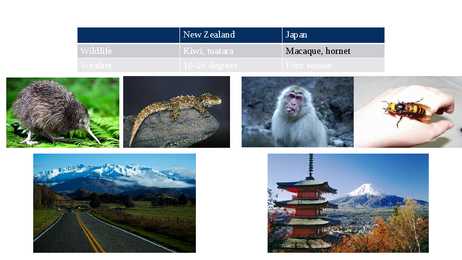 Japan and New Zealand #5
