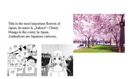 Japan and New Zealand #10