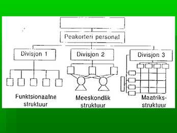 Multidivisjoniline organisatsiooni struktuur #2
