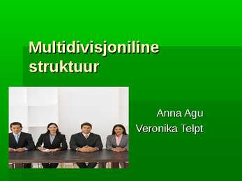 Multidivisjoniline organisatsiooni struktuur