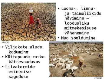 Kõrbestumine Sahelis #11